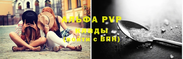 стаф Абинск