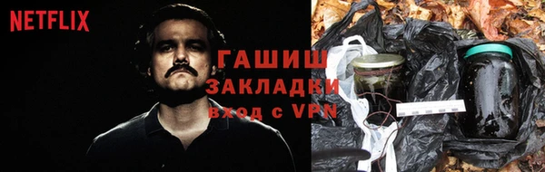 стаф Абинск
