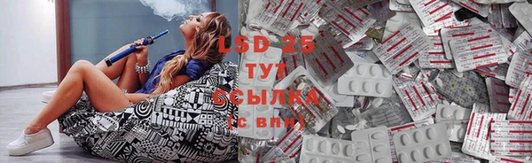 стаф Абинск