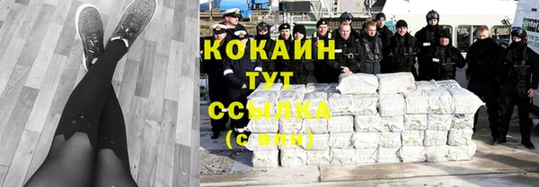 стаф Абинск