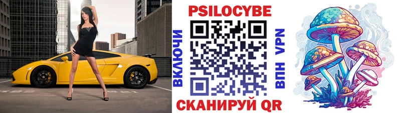 мега как войти  Плавск  Псилоцибиновые грибы Cubensis 